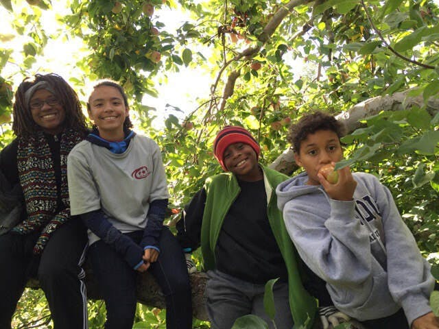 Megan Dowd Lambert's Children