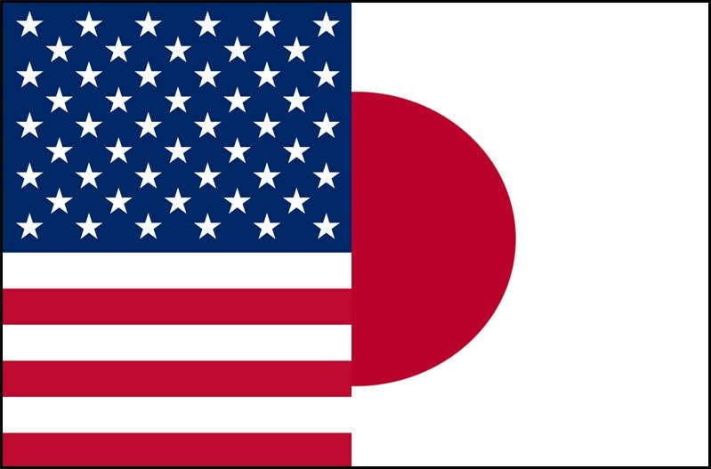 Japanese American Flag
