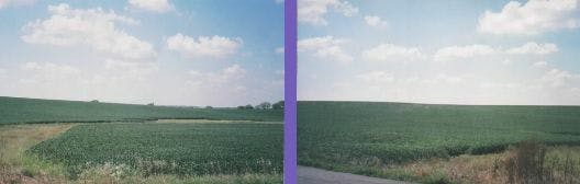 Farmland 1 and 2 1